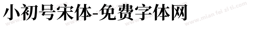 小初号宋体字体转换