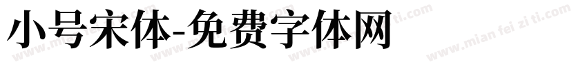 小号宋体字体转换