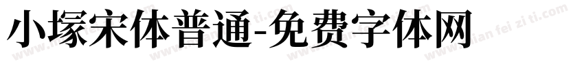 小塜宋体普通字体转换
