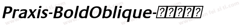 Praxis-BoldOblique字体转换