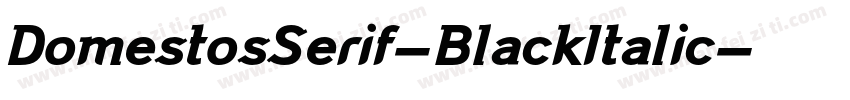 DomestosSerif-BlackItalic字体转换