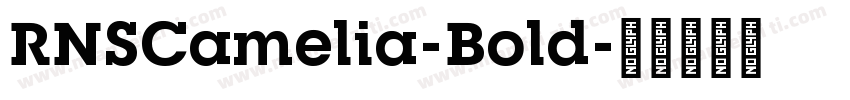 RNSCamelia-Bold字体转换