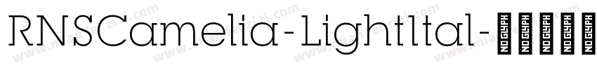 RNSCamelia-LightItal字体转换