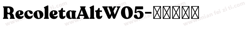 RecoletaAltW05字体转换