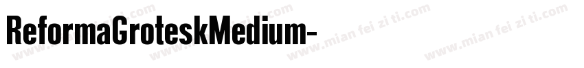 ReformaGroteskMedium字体转换