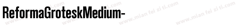 ReformaGroteskMedium字体转换
