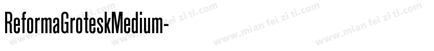 ReformaGroteskMedium字体转换