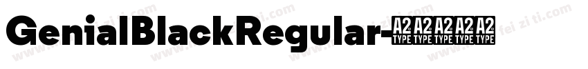 GenialBlackRegular字体转换