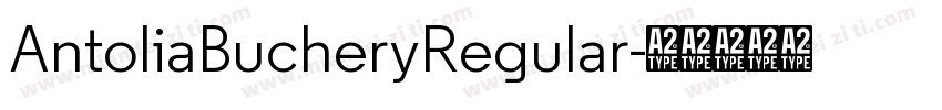 AntoliaBucheryRegular字体转换