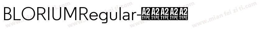 BLORIUMRegular字体转换