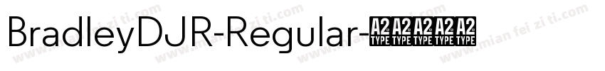 BradleyDJR-Regular字体转换