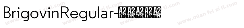 BrigovinRegular字体转换