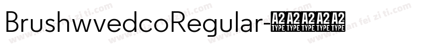 BrushwvedcoRegular字体转换