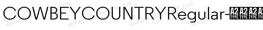 COWBEYCOUNTRYRegular字体转换