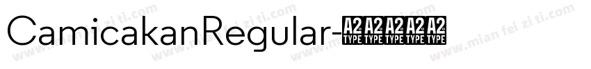 CamicakanRegular字体转换