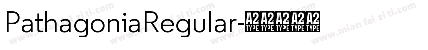PathagoniaRegular字体转换
