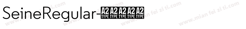 SeineRegular字体转换
