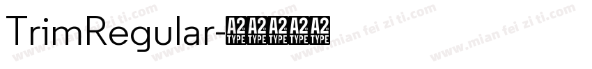 TrimRegular字体转换