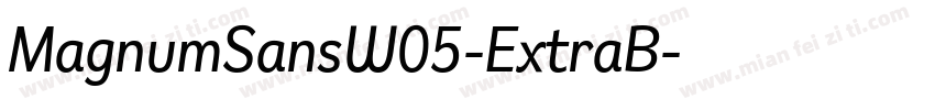 MagnumSansW05-ExtraB字体转换