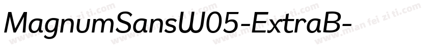 MagnumSansW05-ExtraB字体转换