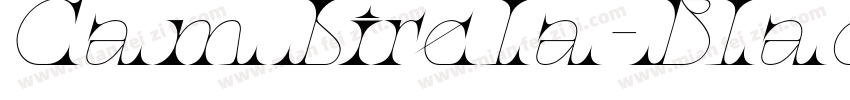 Cambirela-BlackItali字体转换