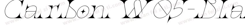 CarbonW05-BlackItali字体转换