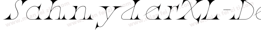 SchnyderXL-DemiItali字体转换