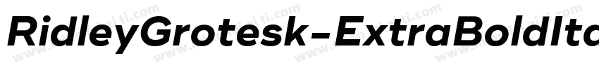 RidleyGrotesk-ExtraBoldItalic字体转换