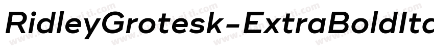 RidleyGrotesk-ExtraBoldItalic字体转换