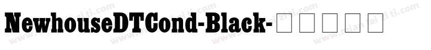 NewhouseDTCond-Black字体转换