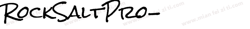RockSaltPro字体转换
