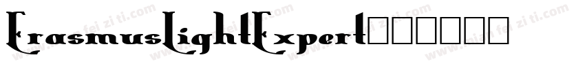 ErasmusLightExpert字体转换