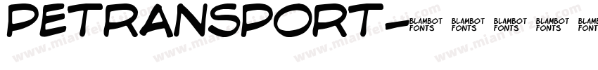 PETRANSPORT字体转换