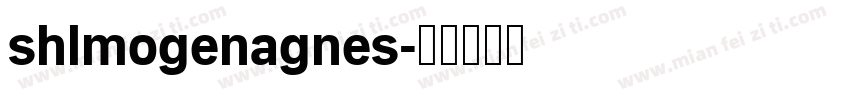 shlmogenagnes字体转换