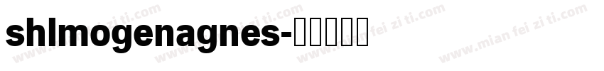 shlmogenagnes字体转换