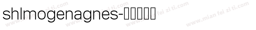 shlmogenagnes字体转换
