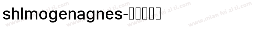 shlmogenagnes字体转换