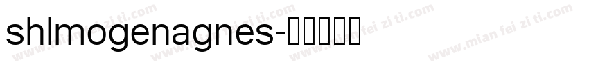 shlmogenagnes字体转换