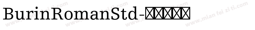BurinRomanStd字体转换