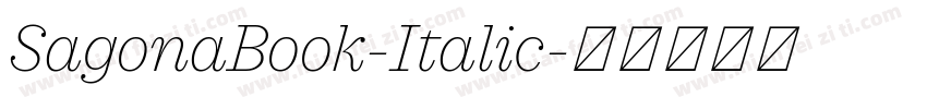 SagonaBook-Italic字体转换
