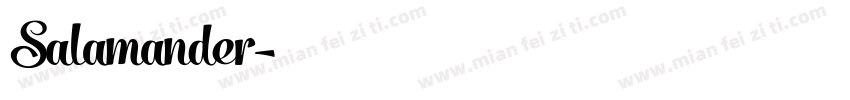 Salamander字体转换