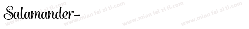 Salamander字体转换