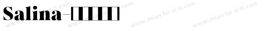 Salina字体转换