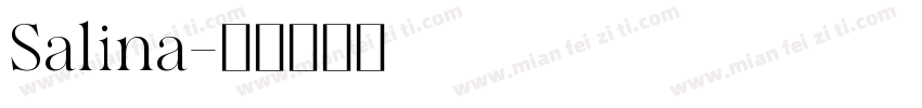 Salina字体转换