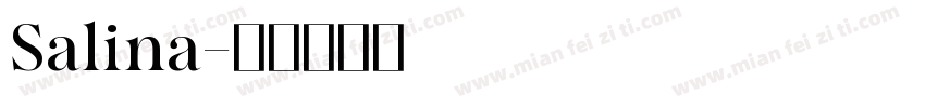 Salina字体转换