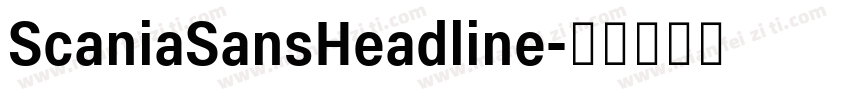 ScaniaSansHeadline字体转换