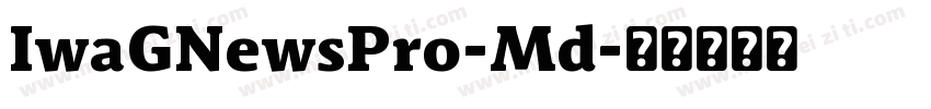 IwaGNewsPro-Md字体转换