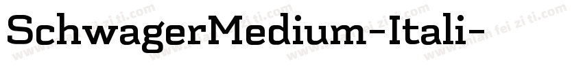 SchwagerMedium-Itali字体转换