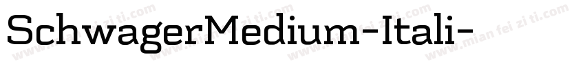 SchwagerMedium-Itali字体转换