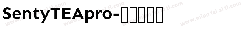 SentyTEApro字体转换